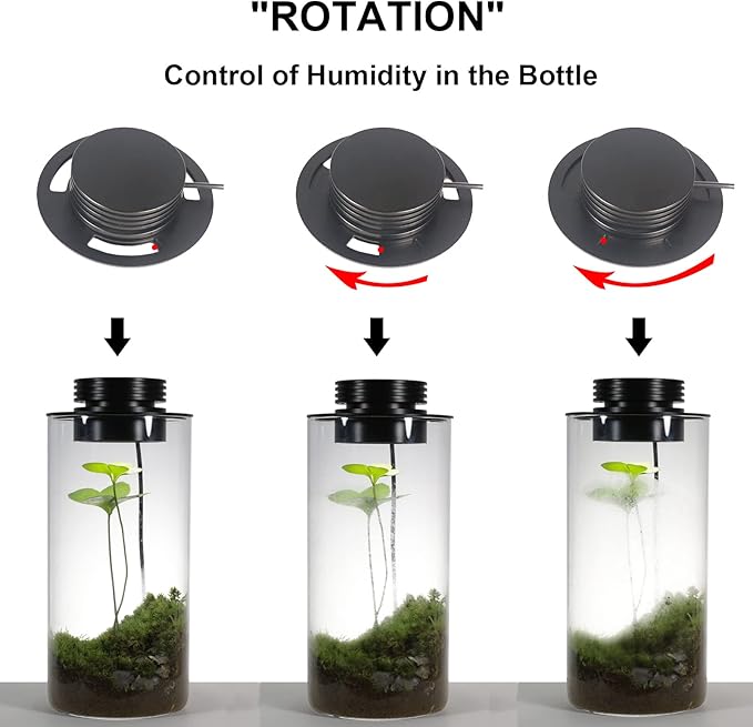 AREPK Glass Terrarium Plant Growing Lamp, for Vases Up to 4 Inches in Diameter, Light with Timer Auto On/Off, Indoor Plant Growth, Succulent, Miniature Gardening Landscape (5W 4IN)