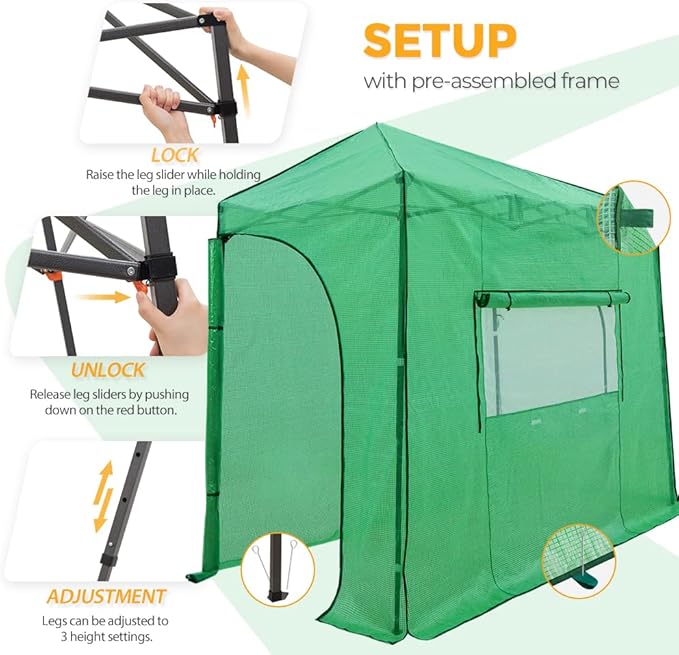 EAGLE PEAK 10x5 Portable Walk in Greenhouse, Pop Up Indoor Outdoor Greenhouse, Green House Kit with Zippered Roll-Up Doors and Windows, Lean-to Design, PE Cover, Clear/Green