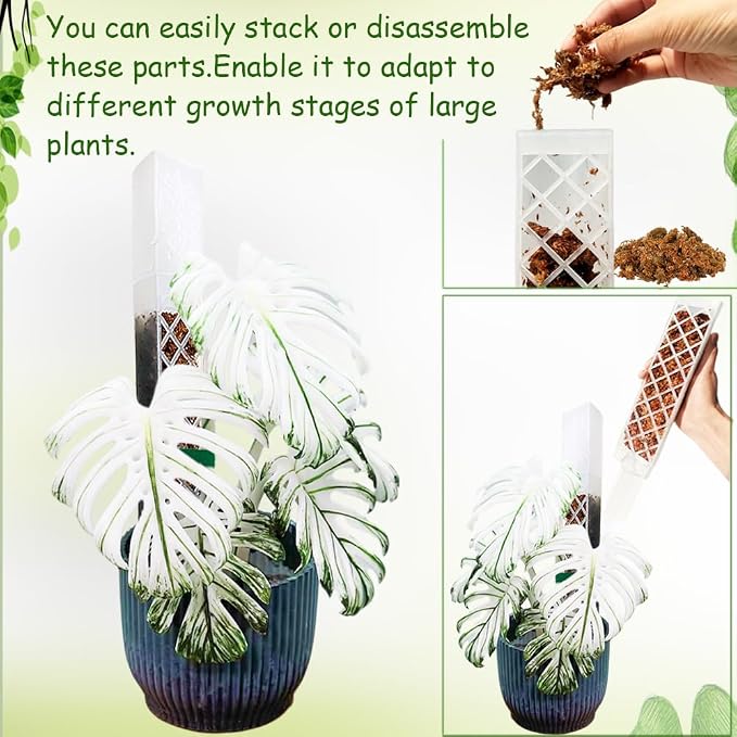 MIIIM 4 Pcs Self-Watering Moss Poles, D Shape Moss Pole Kit for Climbing Plants Indoor, Semi Transparent Monstera Plant Support, 2 Drip Cups and 2 Anchor Stake