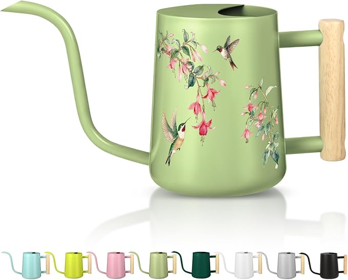 Watering Can Indoor Plants, 35oz Small Stainless Steel Metal Watering Can Modern Decorative Watering Pot with Long Spout for Indoor House Plant Bonsai Garden Flowers (Saga Green 2)