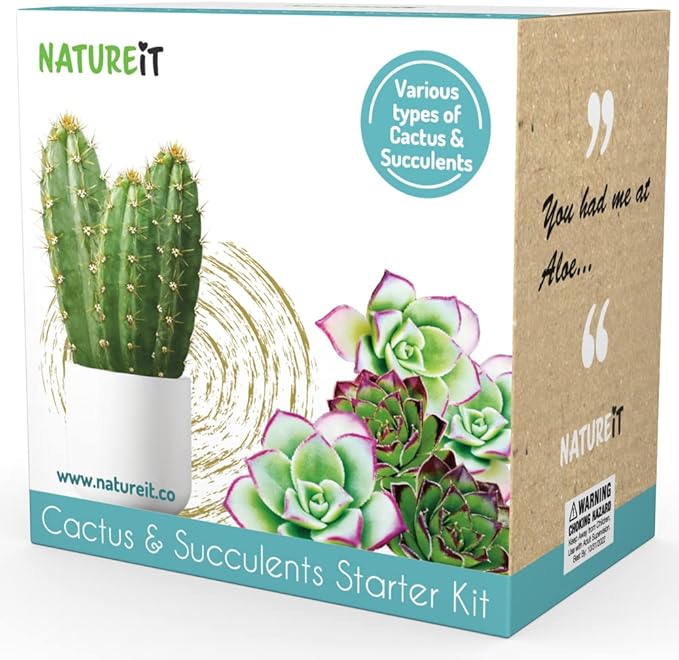 Cactus & Succulents Seed Starter Kit. Everything Needed to Grow an Amazing Assortment of Cactus & Succulents. Perfect for Plant Lovers and Gardener mom. Unusual Housewarming Gift