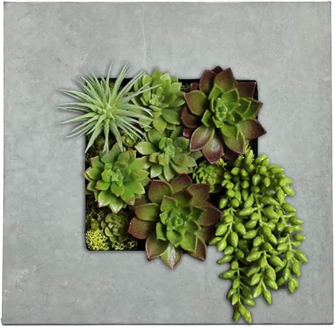 Modern Home Living Wall Galvanized Steel/Zinc Succulent Planter, Wall Mounted Garden Pocket Planter (4 Pocket, Aged Zinc)