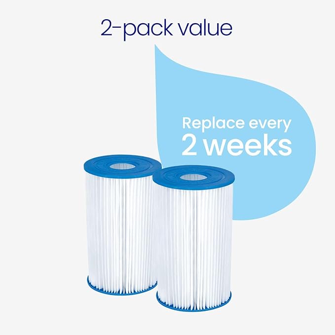 Funsicle Type A/C Filter Cartridge 2-Pack, Replacement Pool Filter Cartridges, Adults