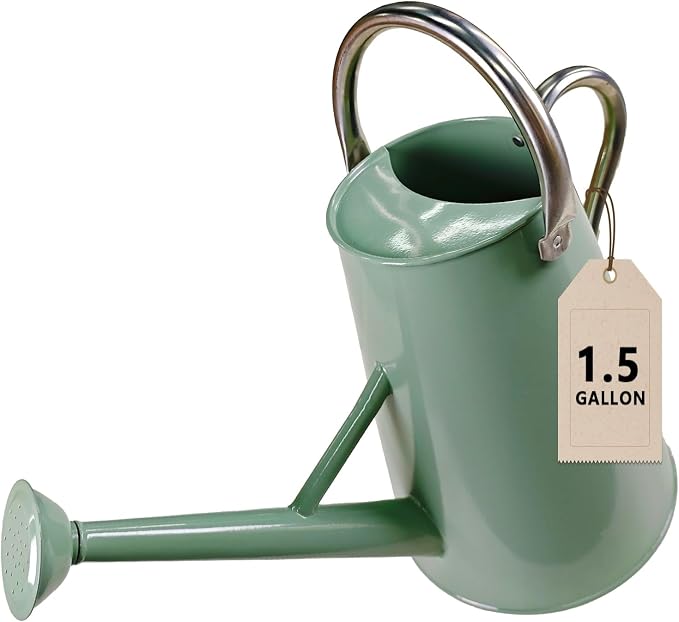 Watering Can for Outdoor&Indoor Plants，1.5 Gallon（5.7L） Metal Watering Can with with Removable Spout，Large Galvanized Steel Garden Flower Water Can Watering Pot with 2 Handles，Cream Green
