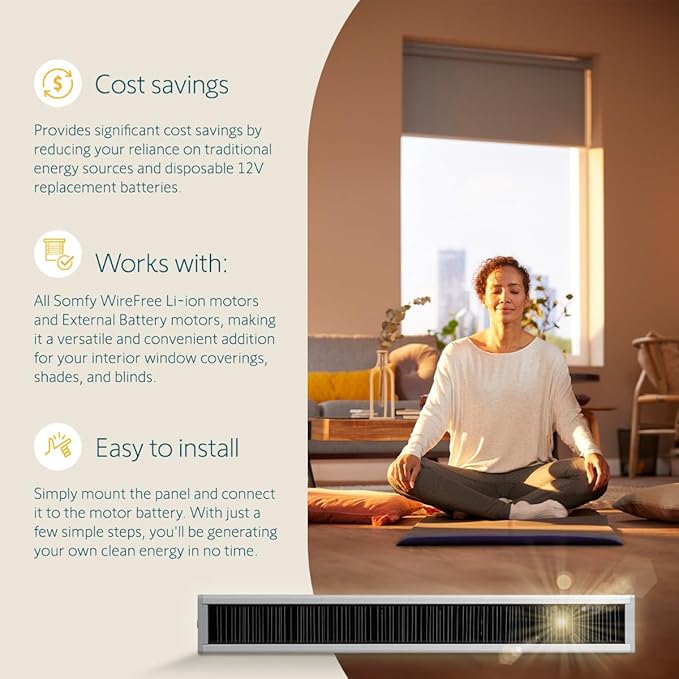Somfy Wirefree Li-ion Solar Panel Kit 2-Pack - Solar Panel Power for RTS Motorized Shades, Blinds and Curtains - Long Lasting, Easy to Install - Includes Brackets and Glass Mount Adhesive #9027294
