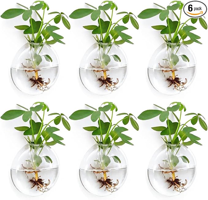 Wall Propagation Planters 6 Pack Glass Wall Planters for Indoor Plants, Wall Plant Holder Plant Propagation Wall Hanging, Glass Flower Vase Indoor Hydroponic Decor