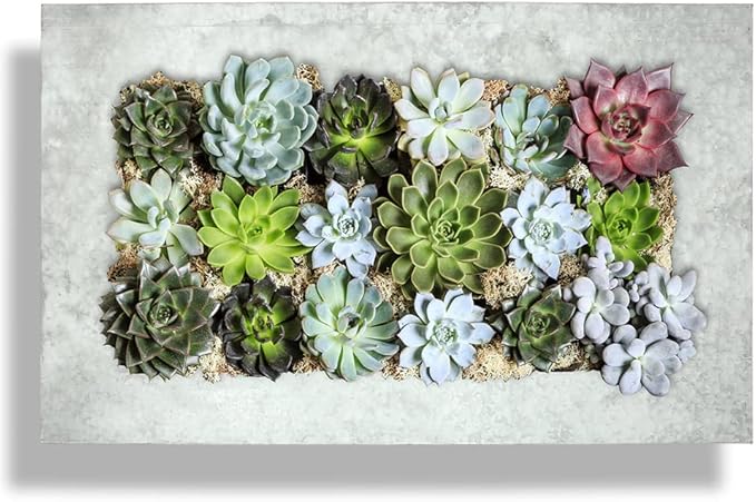 Modern Home Living Wall Galvanized Steel/Zinc Succulent Planter, Wall Mounted Garden Pocket Planter (Horizontal 18 Pocket, Aged Zinc)