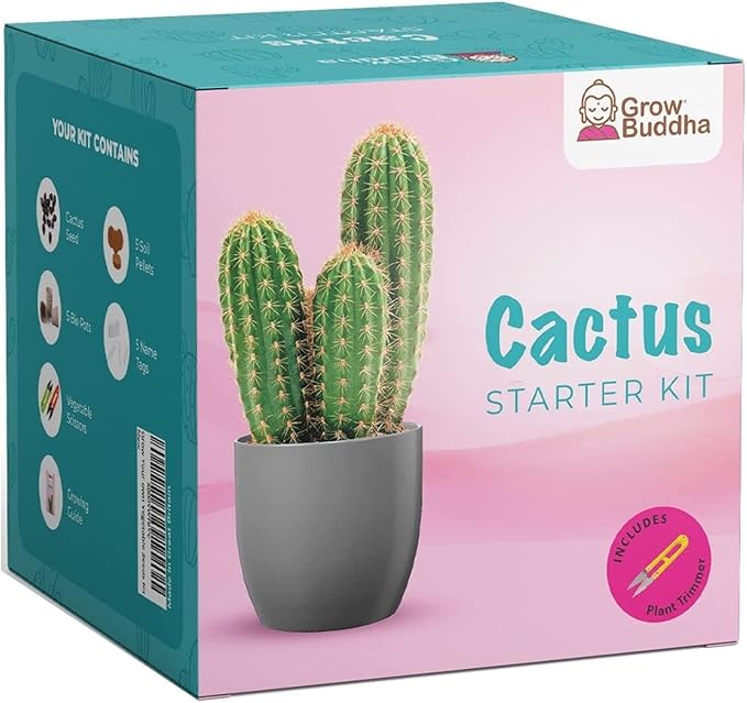 Cactus Kit Grow Your Own Cactus Seeds Starter Kit | Plants, Seeds & Bulbs | Easily Grow Beautiful Varieties of Cactus Plants with Complete Beginner Indoor Cacti Kit – House Plant - Men Women Gifts