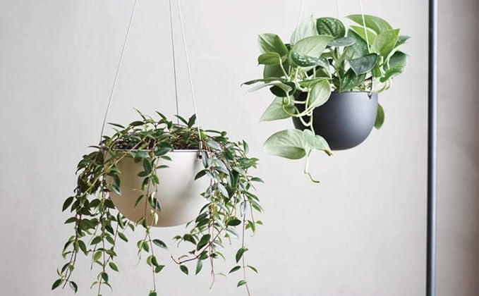 KINTO 29228 201_ Plant Pot, 6.5 inches (140 mm), Black Hanging Planter, Hanging Pot, Flower Pot, Interior Decoration