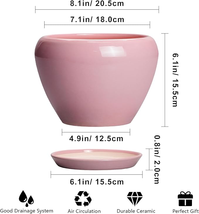 Ceramicfor Ceramic Modern Glaze Succulent Planter Pot with Drainage Hole and Saucer 8 Inch Round Flower Plant Pot for Indoor Outdoor Herb Snake Plants, Pink