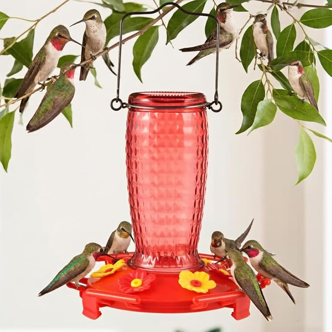 Glass Hummingbird Feeder, Hanging Type Glass Bird Feeder, Flower Bird Feeder disassemble 6 Bee-Proof Feeding Ports, 360° Perch, Leak-Proof 2026 New