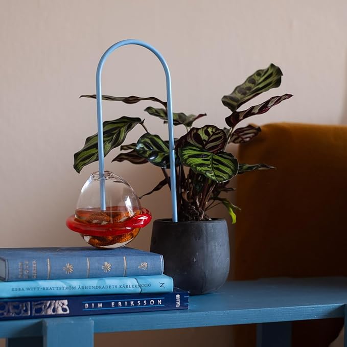 Beautiful Self-Watering Wick System for Effortless Plant Care, Automatic Drip Irrigation, Sustainable & Stylish Scandinavian Design, Ideal for House Plants (M, Baby Blue)