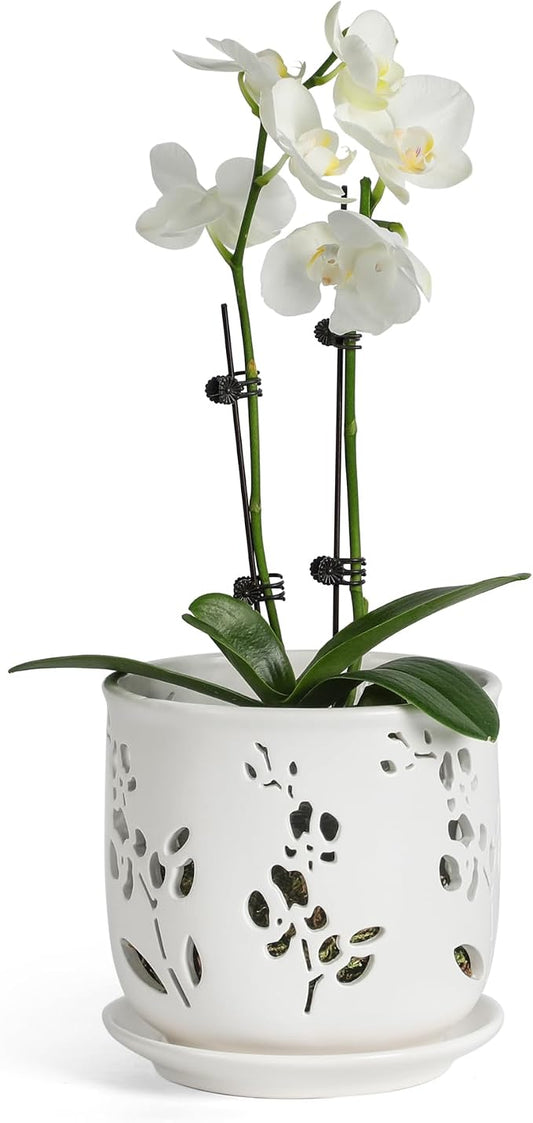 Fayoula Orchid Pots 6.5 Inch Large with Drainage Holes Ensuring Healthy Growth & Easy Repotting, Premium Ceramic for Indoor and Outdoor, Perfect Home Thriving Orchids。