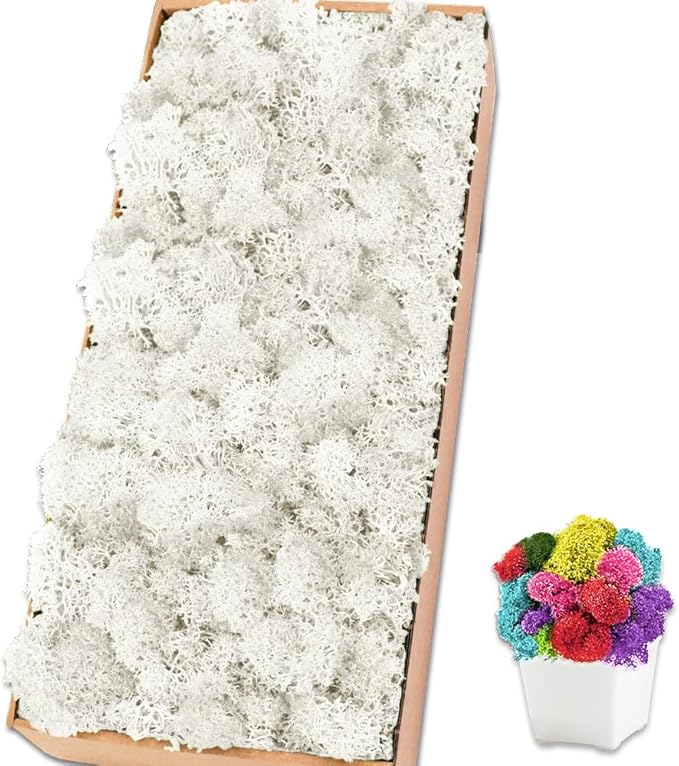 Preserved Reindeer Moss 17.6 OZ White Natural for Crafts, DIY Gift Christmas Decor, Wall Art, Potted Plants, Floral Fake Moss for Easter Table Decor Wedding Decorative(1.1 LB, White)