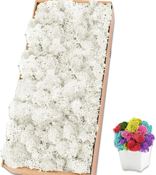 Preserved Reindeer Moss 17.6 OZ White Natural for Crafts, DIY Gift Christmas Decor, Wall Art, Potted Plants, Floral Fake Moss for Easter Table Decor Wedding Decorative(1.1 LB, White)