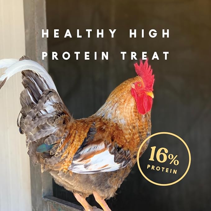 Manna Pro Mealworm Medley Cake, Chicken Treats & Food, High-Protein Snack for Chickens, Turkeys, and Backyard Birds, 19.5 oz