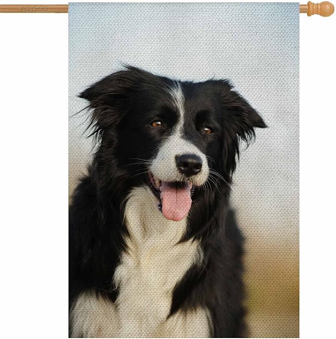 AOYEGO Border Collie Dog House Flags 28 x 40 Double Sided Burlap Dog Pets Puppies Black and White Yard Flags Spring Summer Farmhouse Seasonal Outdoor Flag