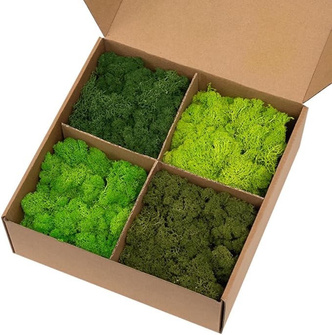 Preserved Reindeer Moss, Natural Decorative for Home Decor, DIY Crafts, Moss Wall Art, Terrariums, Floral Arrangements, Wedding & Holiday Decorations, Total 14oz (Olive Haven)
