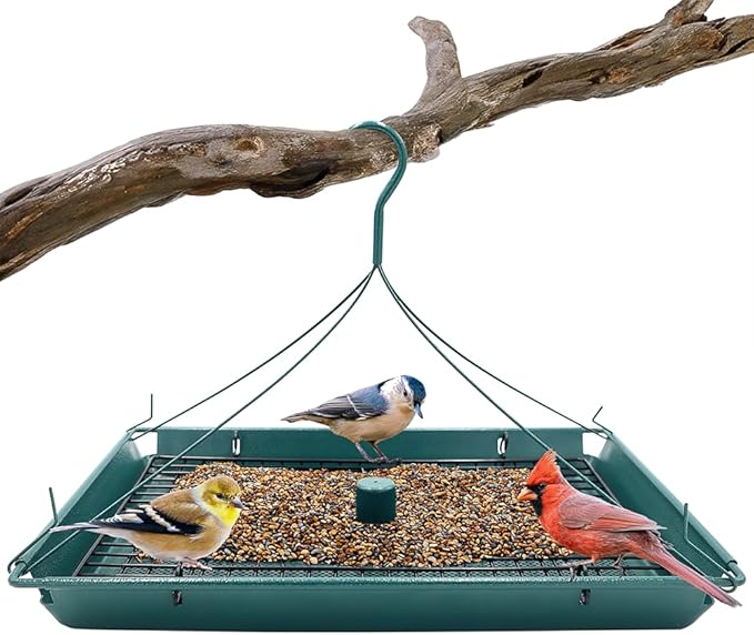 Zenport Z203009 2-in-1 Platform Bird Feeder, Green - 6 Pack