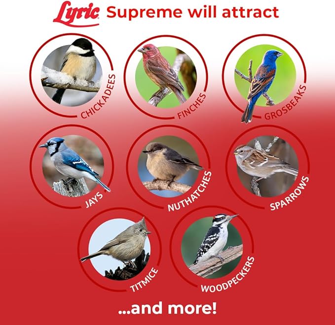 Lyric Supreme Wild Bird Seed - Wild Bird Food Mix with Nuts & Sunflower Seeds for Outside Feeders - Attracts Many Beautiful Songbirds - 4.5 lb bag