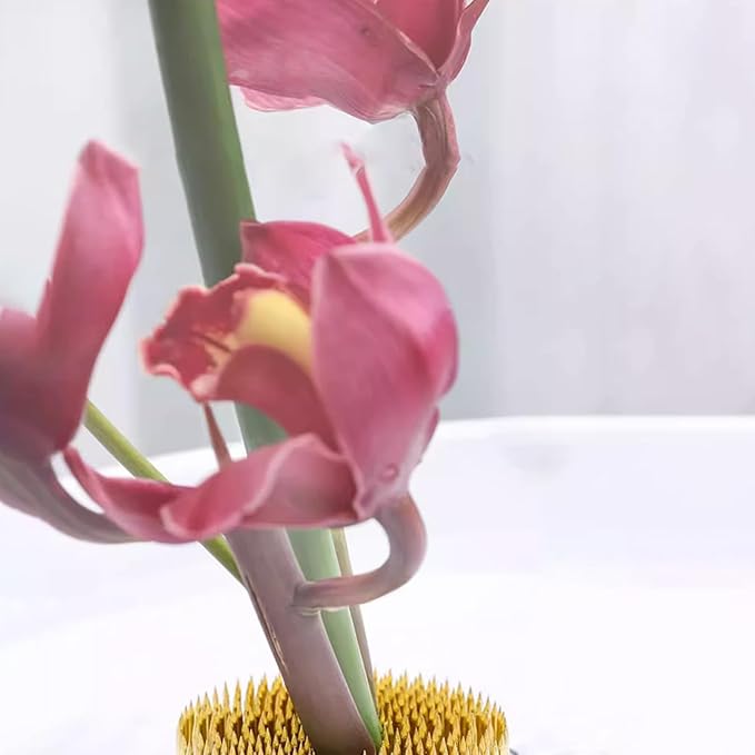 Flower Frog Stainless Steel Pin Frog Flower Arrangement Holder (3.2 Inch (80mm))