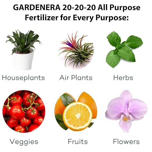 𝐁𝐄𝐒𝐓𝐒𝐄𝐋𝐋𝐄𝐑 20-20-20 Water-Soluble Fertilizer – Powder for Liquid Plant Food for Indoor & Outdoor Plants, Orchids, Vegetables, Lawns, Flowers – 20 20 20 Fertilizer - 1 Quart