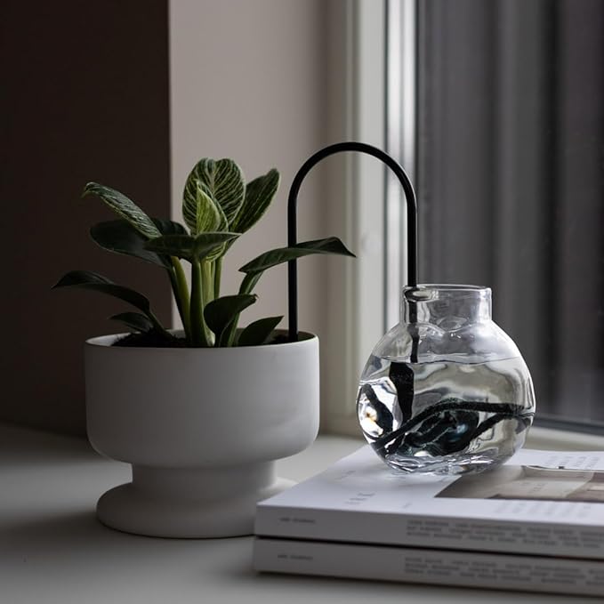 Beautiful Self-Watering Wick System for Effortless Plant Care, Automatic Drip Irrigation, Sustainable & Stylish Scandinavian Design, Ideal for House Plants (M, Black)