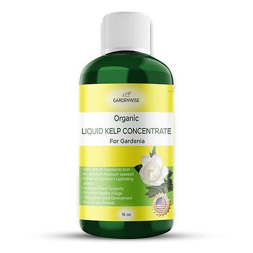 GARDENWISE Organic Premium Kelp Seaweed Concentrate for Gardenia - Liquid Fertilizer - Liquid Plant Food - Nutrient-Rich Soil Enhancer - Natural Plant Food for Gardenia Plant (16 OZ), OLKC-14