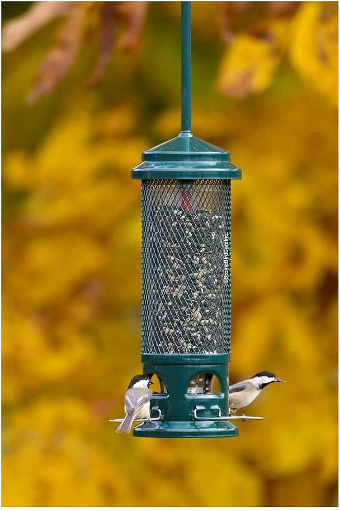 Squirrel Buster Legacy Squirrel-Proof Bird Feeder w/4 Metal Perches, 2.6-Pound Seed Capacity & Wagner's 62004 Eastern Regional Wild Bird Food, 20-Pound Bag