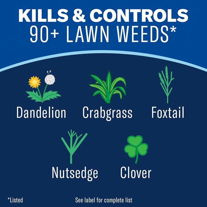 BioAdvanced All-in-One Lawn Weed & Crabgrass Killer, Ready-to-Use, 24oz