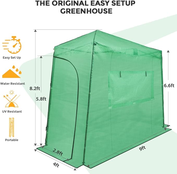 EAGLE PEAK 9x4 Portable Walk in Greenhouse, Pop Up Indoor Outdoor Greenhouse, Green House Kit with Zippered Roll-Up Doors and Windows, Lean-to Design, PE Cover, Clear/Green