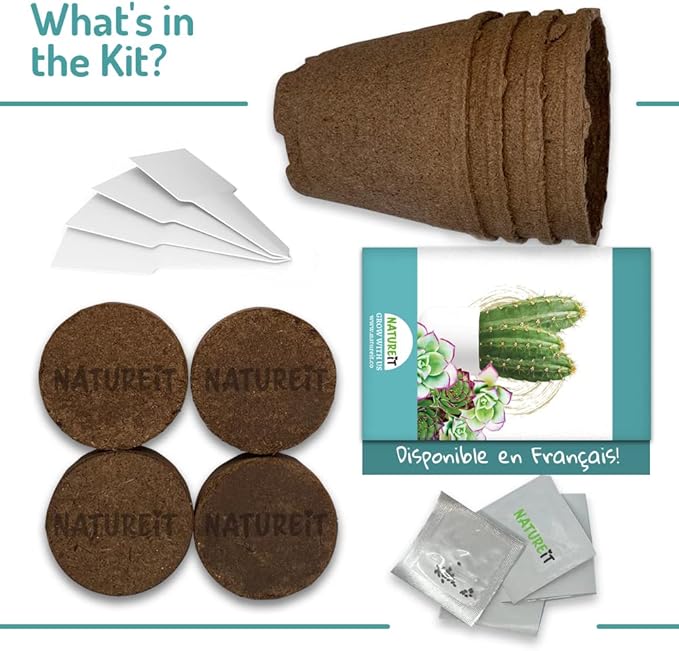 Cactus & Succulents Seed Starter Kit. Everything Needed to Grow an Amazing Assortment of Cactus & Succulents. Perfect for Plant Lovers and Gardener mom. Unusual Housewarming Gift