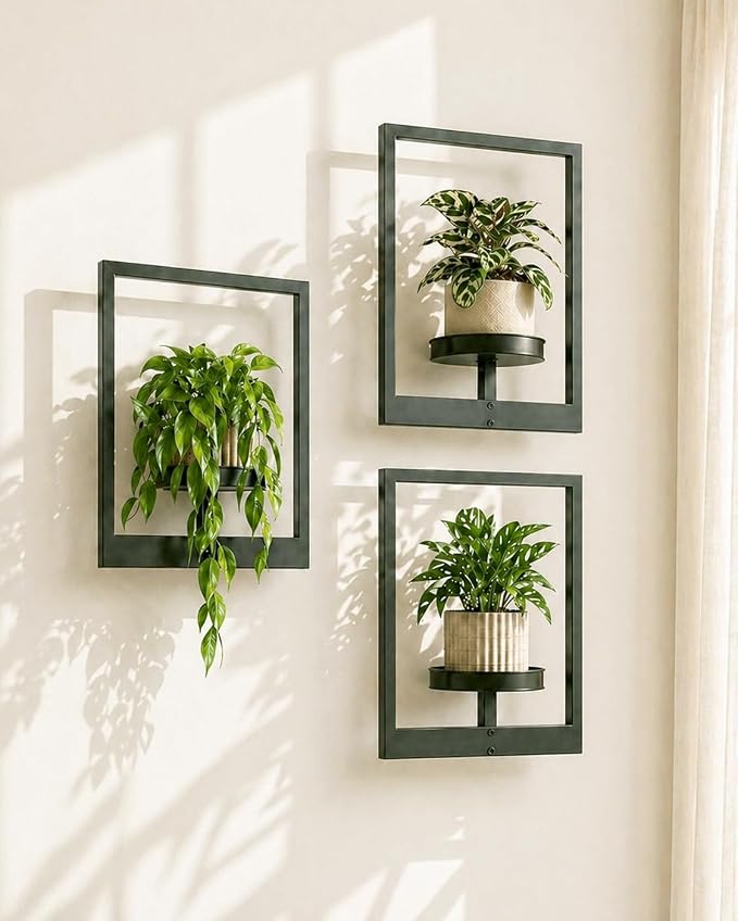 Bamworld Hanging Planters for Indoor Plants Wall Decor Living Room Plant Stand Indoor Wall Planters Plant Hanger Window Plant Shelves 3 Pack for Outdoor Entryway