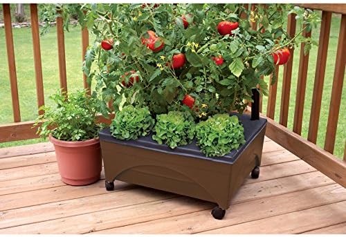 Emsco Group 2345 City Raised Bed Grow Box – Self Watering and Improved Aeration – Mobile Unit with Casters Picker, Earth Brown