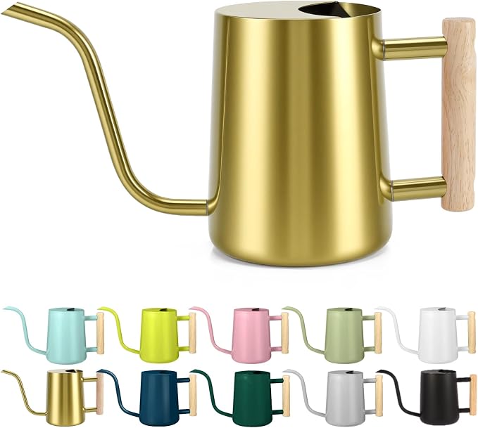 Watering Can Indoor Plants, 35oz Small Stainless Steel Metal Watering Can Modern Decorative Watering Pot with Long Spout for Indoor House Plant Bonsai Garden Flowers (Gold)