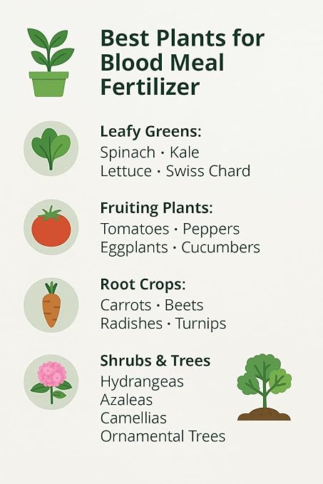 𝐁𝐄𝐒𝐓𝐒𝐄𝐋𝐋𝐄𝐑 Organic Blood Meal Fertilizer by Gardenera - 12-0-0 NPK - All-Natural Plant Food Source of Nitrogen for Organic Gardening, Flowers, Vegetables, Trees & Shrubs - 4 QUARTS