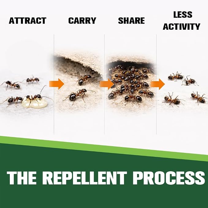 Keep Ants Away Indoor Pet Safe, Get Rid of Ant, Keeps Ants Away from Kitchen/Pantry/Entry Areas, Easy to Use- 6P