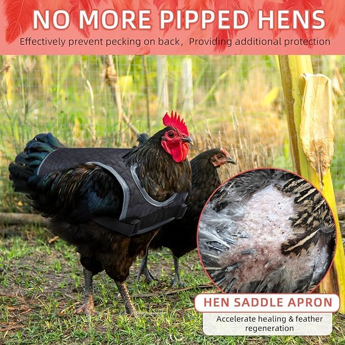 Chicken Saddles for hens, Chicken Apron Back Protector for Hens With Adjustable Strap, Chicken Hen Mating Saddle