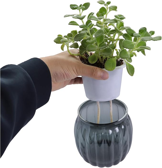 Cornasee 4" Pumpkin Planter Self Watering Pot, 4-Pack Small Plastic Planters for Indoor Plants,Flowers,Succulent,African Violets (Black, 4")