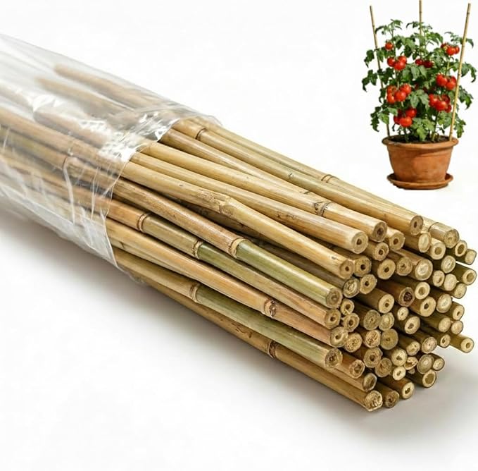 65 Pcs Bamboo Plant Stakes 4 Feet, Oltara Natural Bamboo Sticks Garden Stakes for Climbing Plants Support, Bamboo Poles,Potted Plants, Tomatoes, Beans, Flowers, Trees