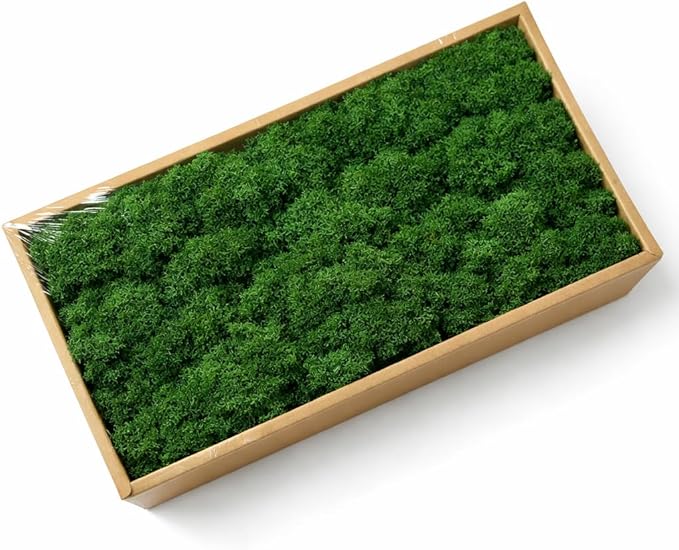 Cigarlemon Preserved Reindeer Moss, 17.64oz Natural Decorative for Home Decor, DIY Crafts, Moss Wall Art, Terrariums, Floral Arrangements, Wedding & Holiday Decorations (Dark Green)