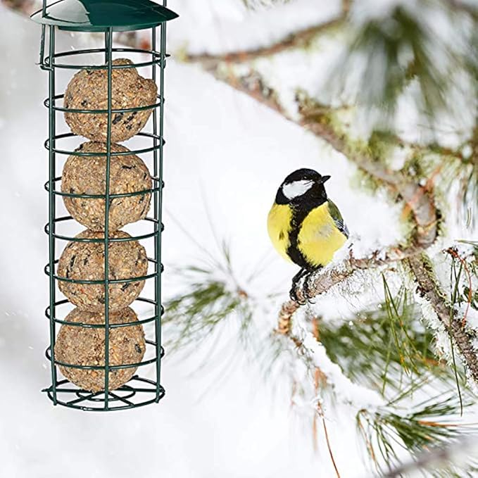 Suet Ball Bird Feeder Outdoor Hanging Metal Wire Wild Bird Feeder Fat Ball Food Feeder (1)