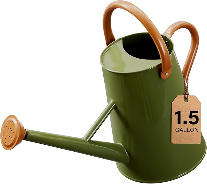Watering Can for Outdoor&Indoor Plants，1.5 Gallon（5.7L） Metal Watering Can with with Removable Spout，Large Galvanized Steel Garden Flower Water Can Watering Pot with 2 Handles,Dark Green