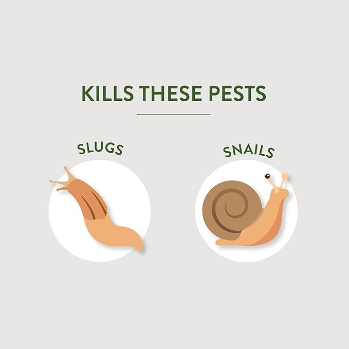 Garden Safe Brand Slug & Snail Bait Granules, 2 Pounds, Slugs & Snails Begin to Die Within 3 to 6 Days, Can Be Used Around Pets & Wildlife, For Lawns, Gardens & Greenhouses, 1 Pack