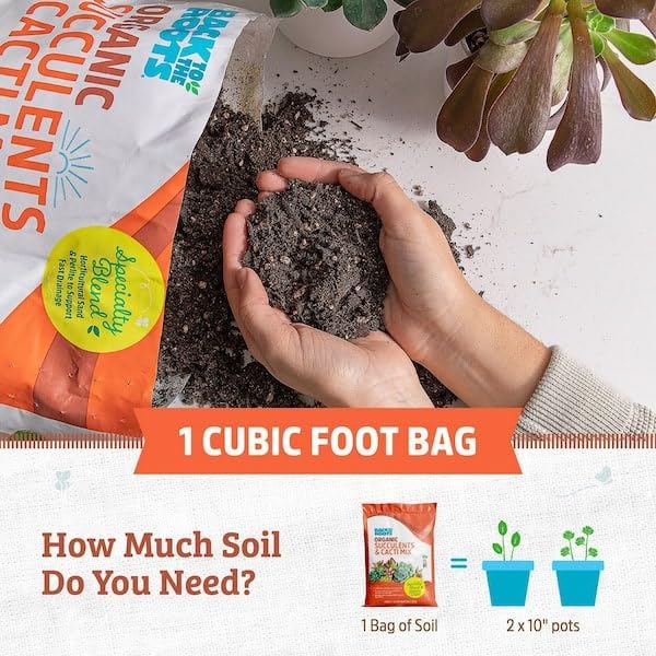 Back to the Roots 100% Organic Succulent & Cacti Mix (Value 25 Quart) | Made in the USA