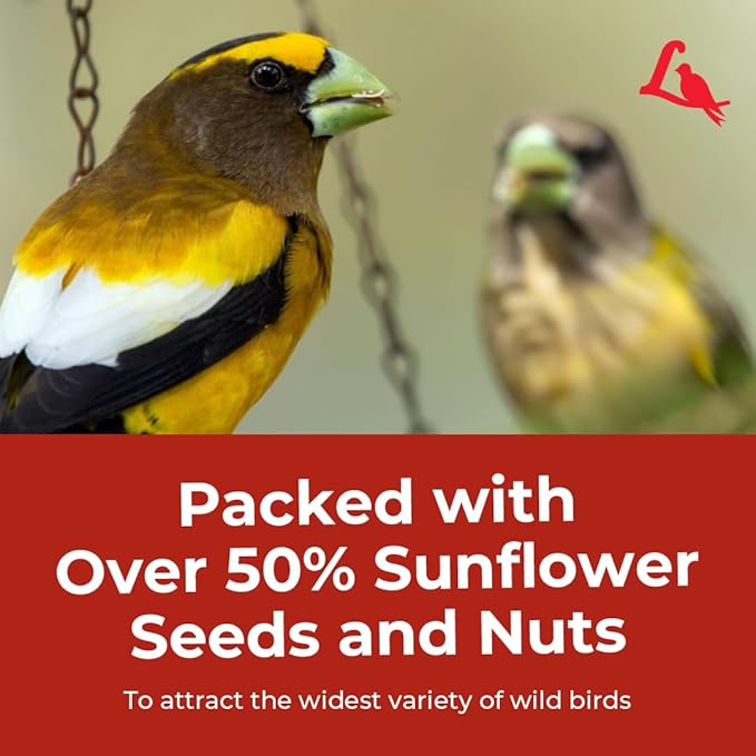 Lyric Supreme Wild Bird Seed - Wild Bird Food Mix with Nuts & Sunflower Seeds for Outside Feeders - Attracts Many Beautiful Songbirds - 4.5 lb bag