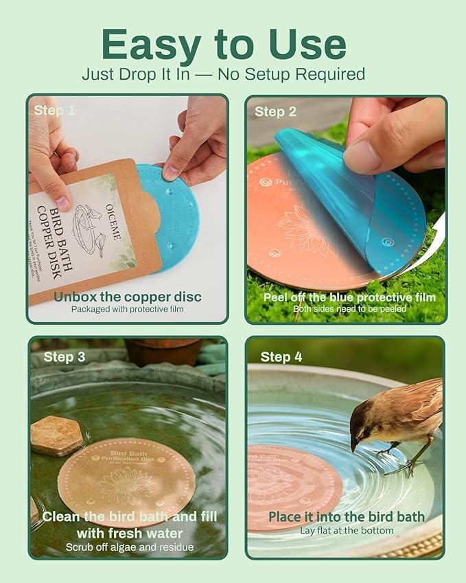 Bird Bath Purification Disk Pure Copper Outside Winter Solar Power Birdbath Wild Hummingbird Feeder Pedestal Fountain Cleaner Cage Dispenser Bowl Ground Safe Garden Sunflower Bird Gifts