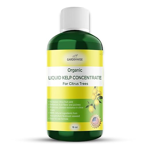 GARDENWISE Organic Premium Kelp Seaweed Fertilizer: All-in-One Citrus Tree Fertilizer for Meyer Lemon, Lime, and Other Fruiting Trees - Liquid Plant Food for Potted & Outdoor Citrus Trees (16 OZ)