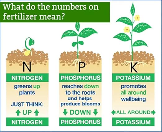 𝐁𝐄𝐒𝐓𝐒𝐄𝐋𝐋𝐄𝐑 20-20-20 Water-Soluble Fertilizer – Powder for Liquid Plant Food for Indoor & Outdoor Plants, Orchids, Vegetables, Lawns, Flowers – 20 20 20 Fertilizer - 5 Quarts