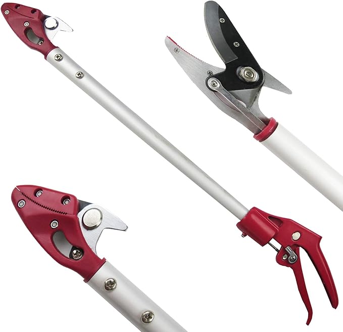 2FT Long Reach Pruner and Fruit Picker with Cut & Hold Feature, Lightweight 0.7lb Aluminum Pole with 90° Rotating Head, High Carbon Steel Sharp Blade, Ergonomic Tree Trimmer for High Branches